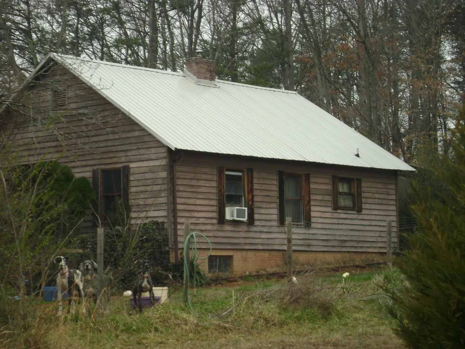 White metal roof on an old wood sided farmhouse, from a Asphalt Shingle Roof Repair job in Dorset